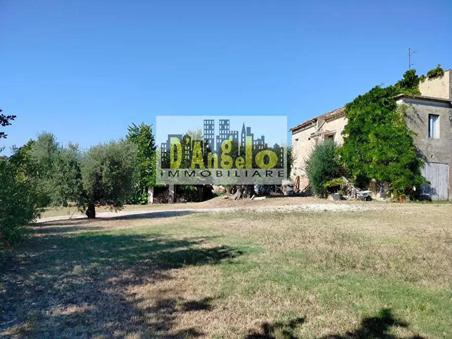 Immagine 5 di Rustico / casale in vendita  in Rovecciano a Offida