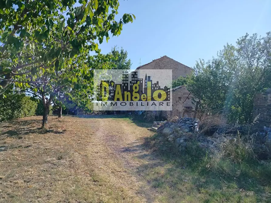 Immagine 6 di Rustico / casale in vendita  in Rovecciano a Offida