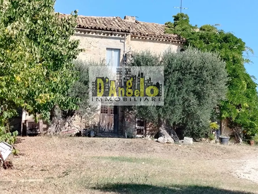 Immagine 7 di Rustico / casale in vendita  in Rovecciano a Offida