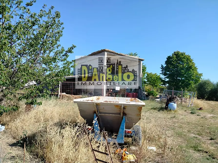 Immagine 9 di Rustico / casale in vendita  in Rovecciano a Offida
