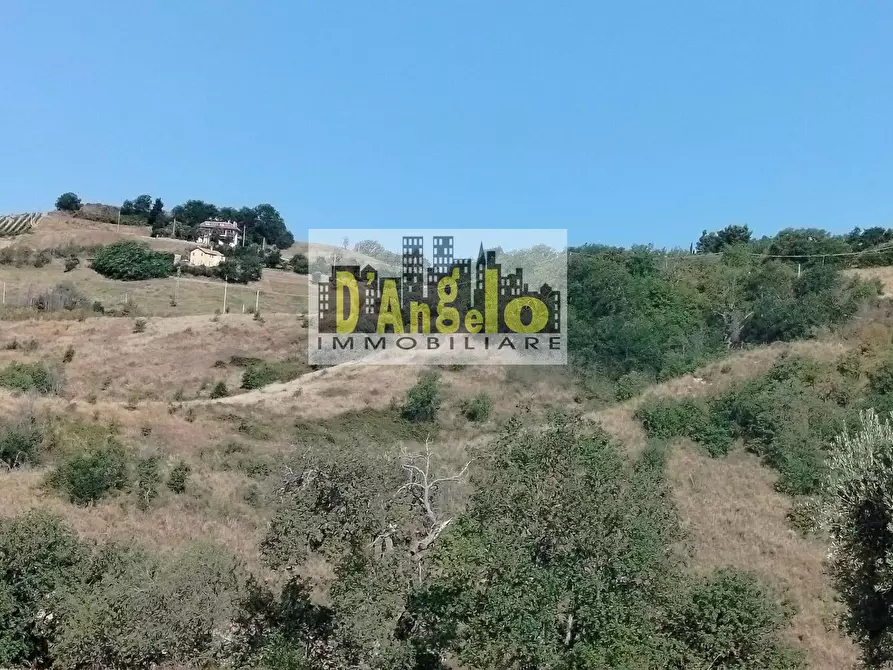 Immagine 18 di Rustico / casale in vendita  in Rovecciano a Offida