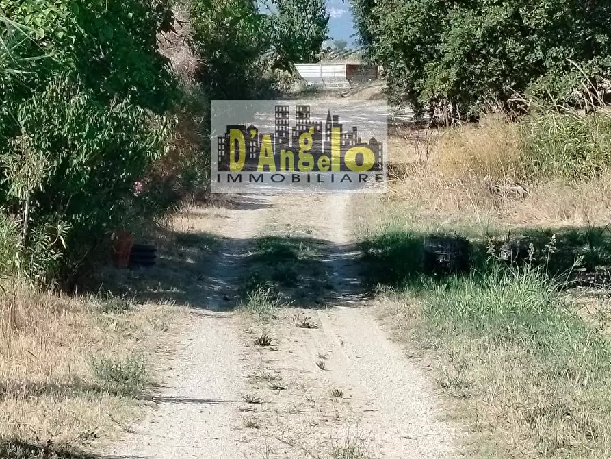 Immagine 12 di Rustico / casale in vendita  in Rovecciano a Offida