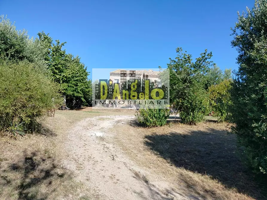 Immagine 14 di Rustico / casale in vendita  in Rovecciano a Offida