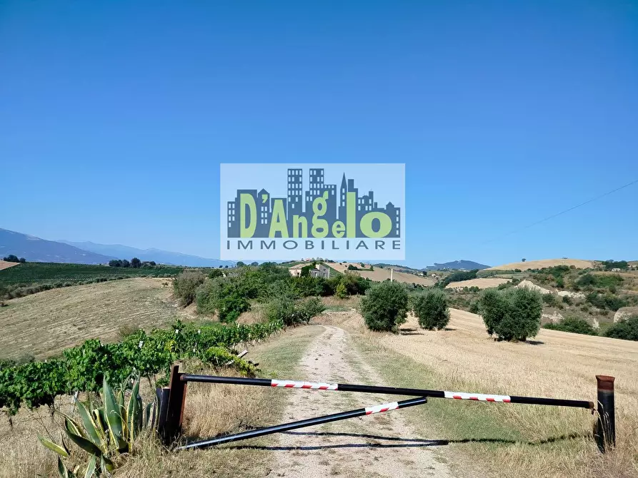 Immagine 10 di Rustico / casale in vendita  in Rovecciano a Offida