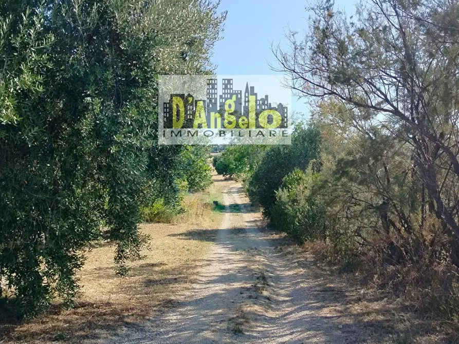 Immagine 13 di Rustico / casale in vendita  in Rovecciano a Offida