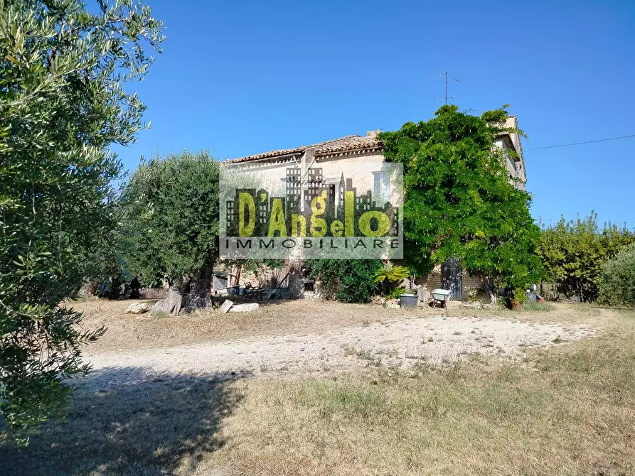 Immagine 3 di Rustico / casale in vendita  in Rovecciano a Offida