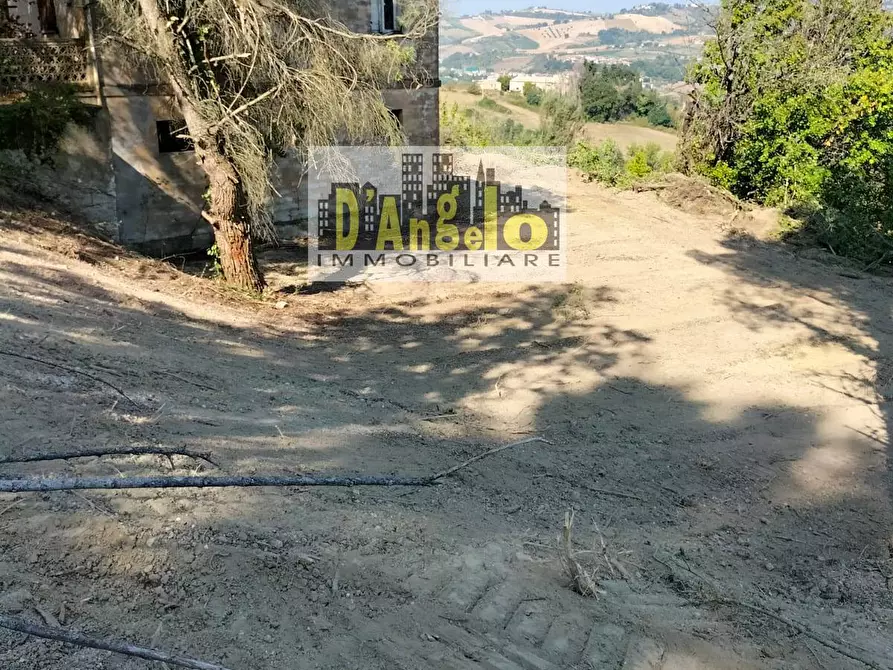 Immagine 15 di Rustico / casale in vendita  in Contrada Aso a Montefiore Dell'aso