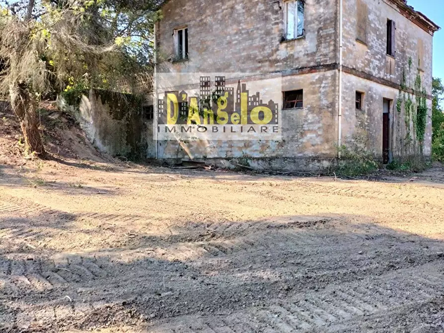 Immagine 5 di Rustico / casale in vendita  in Contrada Aso a Montefiore Dell'aso