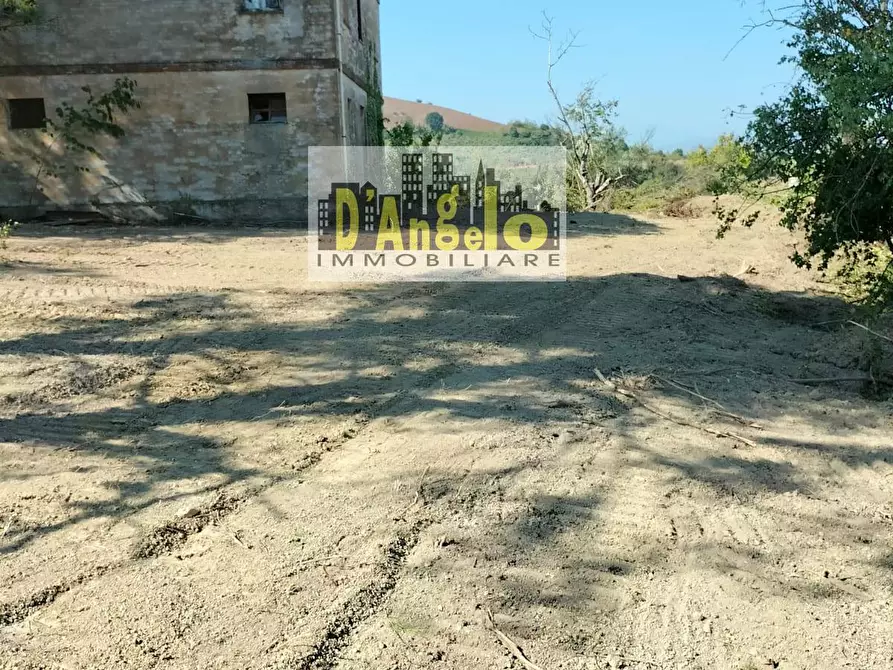 Immagine 4 di Rustico / casale in vendita  in Contrada Aso a Montefiore Dell'aso