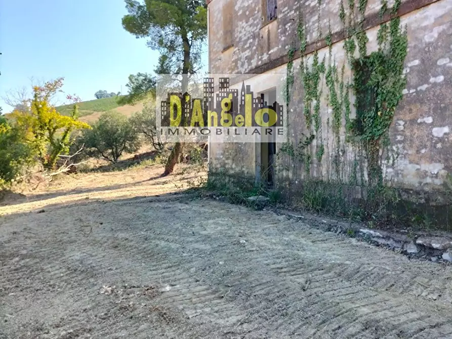 Immagine 6 di Rustico / casale in vendita  in Contrada Aso a Montefiore Dell'aso