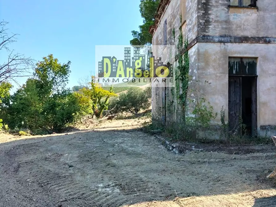 Immagine 7 di Rustico / casale in vendita  in Contrada Aso a Montefiore Dell'aso
