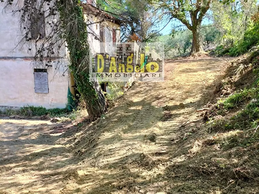 Immagine 8 di Rustico / casale in vendita  in Contrada Aso a Montefiore Dell'aso