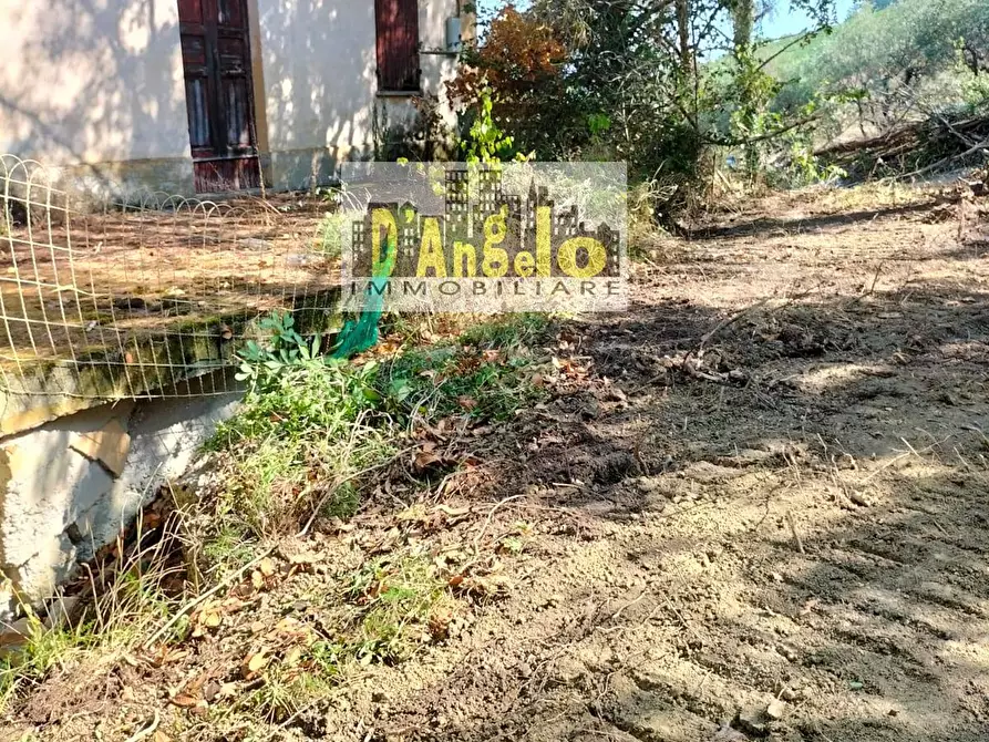 Immagine 14 di Rustico / casale in vendita  in Contrada Aso a Montefiore Dell'aso
