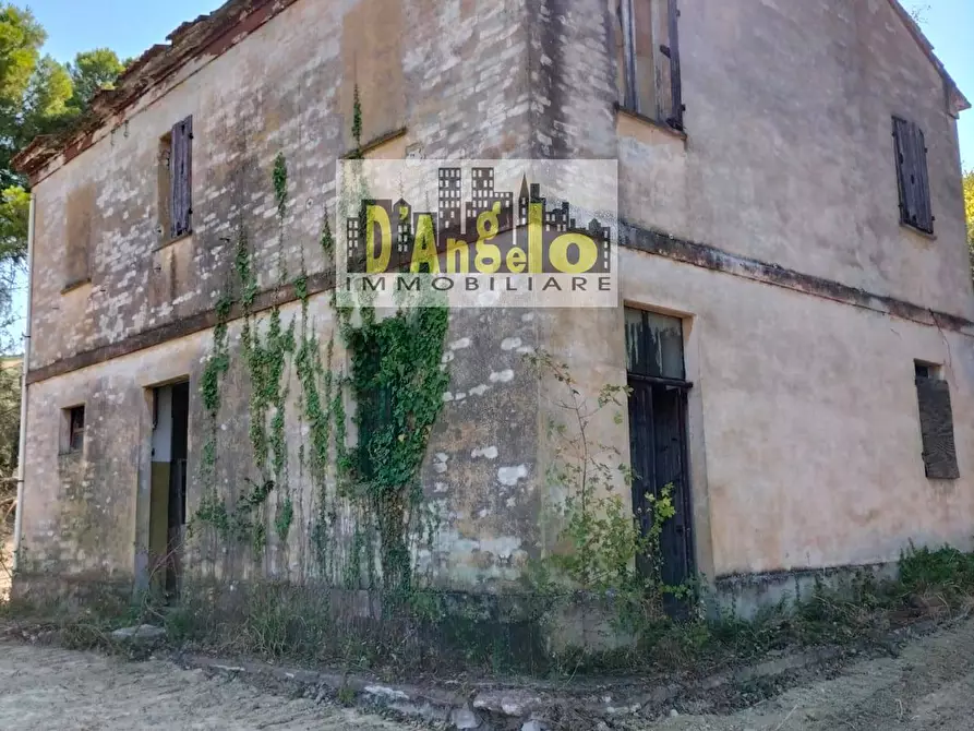 Immagine 2 di Rustico / casale in vendita  in Contrada Aso a Montefiore Dell'aso