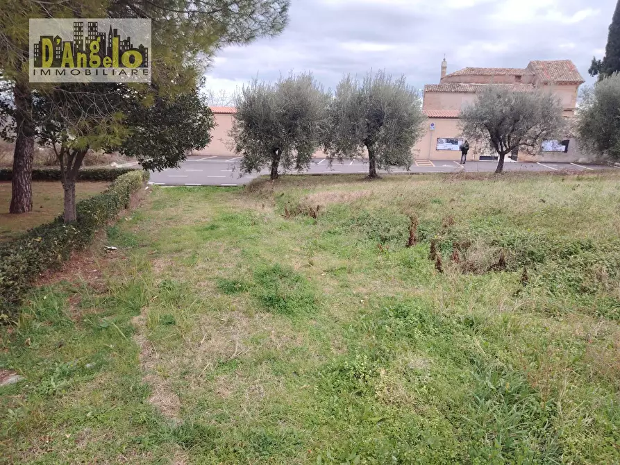 Immagine 22 di Villa in vendita  in Via Gramsci a Offida