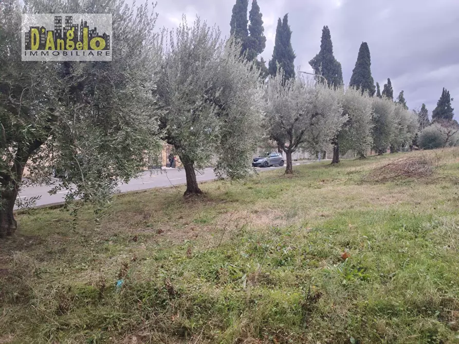 Immagine 24 di Villa in vendita  in Via Gramsci a Offida