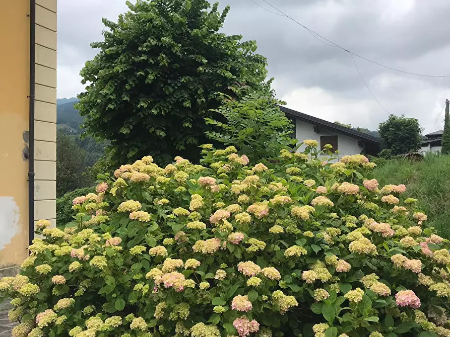 Immagine 18 di Villa in vendita  in Via Roma a Cerano D'intelvi