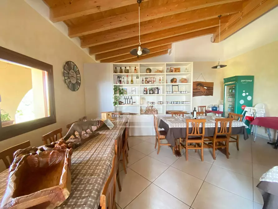 Immagine 10 di Agriturismo in vendita  in via san michele a Salò