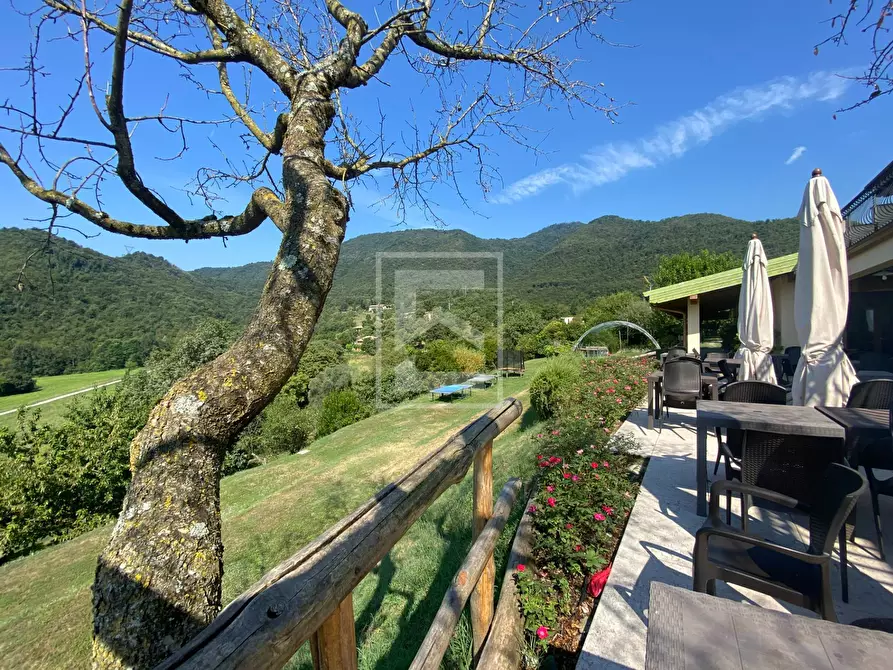 Immagine 19 di Agriturismo in vendita  in via san michele a Salò