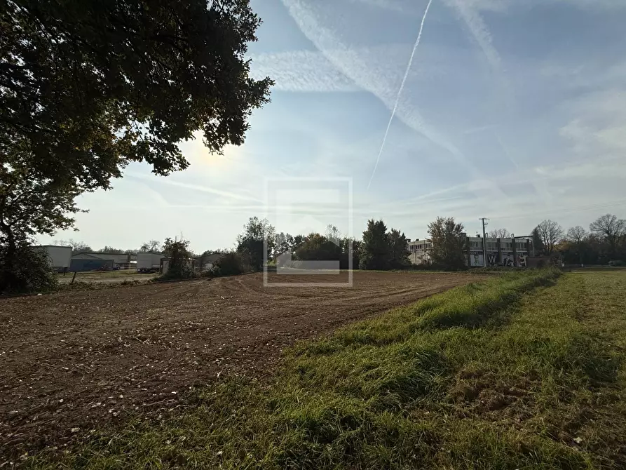 Immagine 1 di Terreno agricolo in vendita  in via delle noveglie a Manerba Del Garda