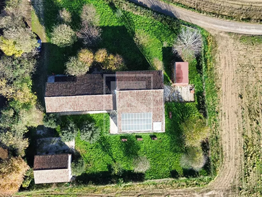 Immagine 5 di Villa in vendita  in strada mussolina a Goito