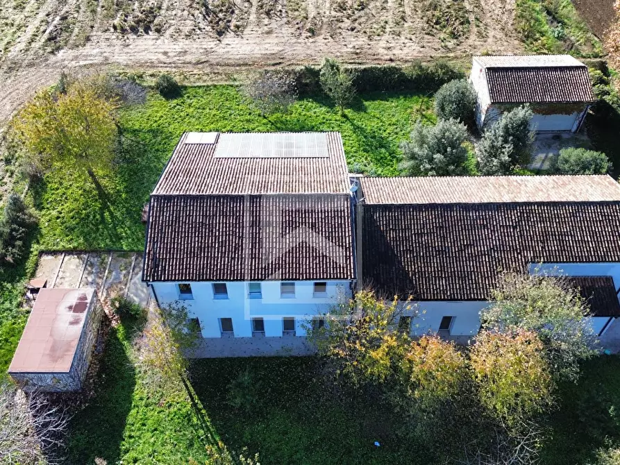 Immagine 7 di Villa in vendita  in strada mussolina a Goito
