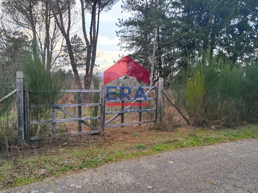 Immagine 4 di Terreno agricolo in vendita  a Rocca Di Papa