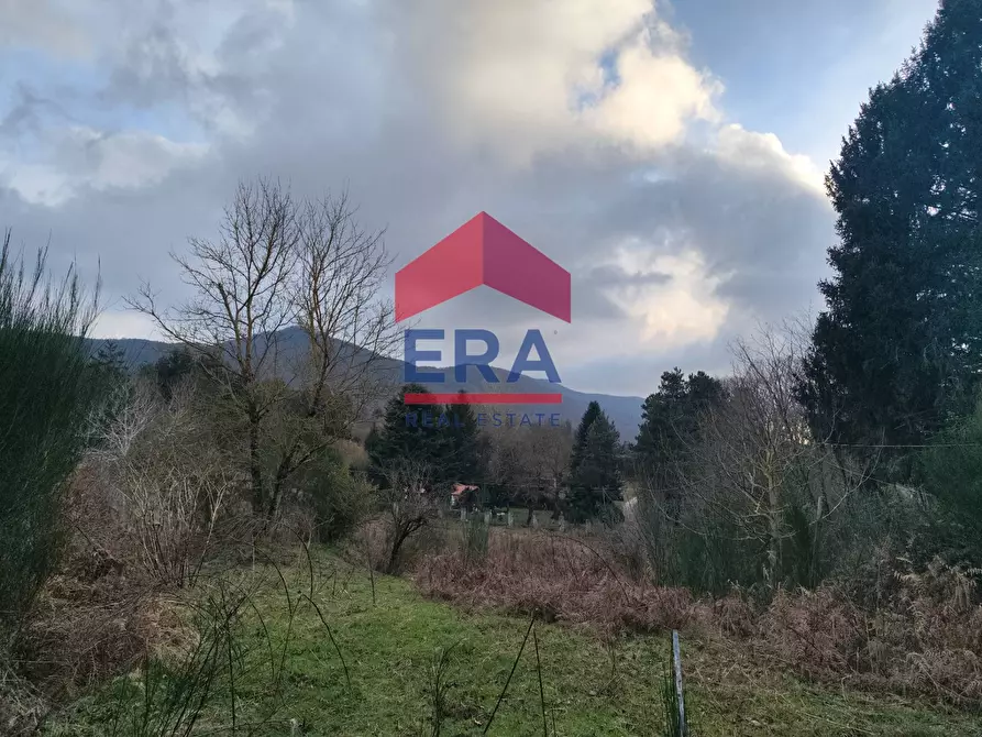 Immagine 5 di Terreno agricolo in vendita  a Rocca Di Papa