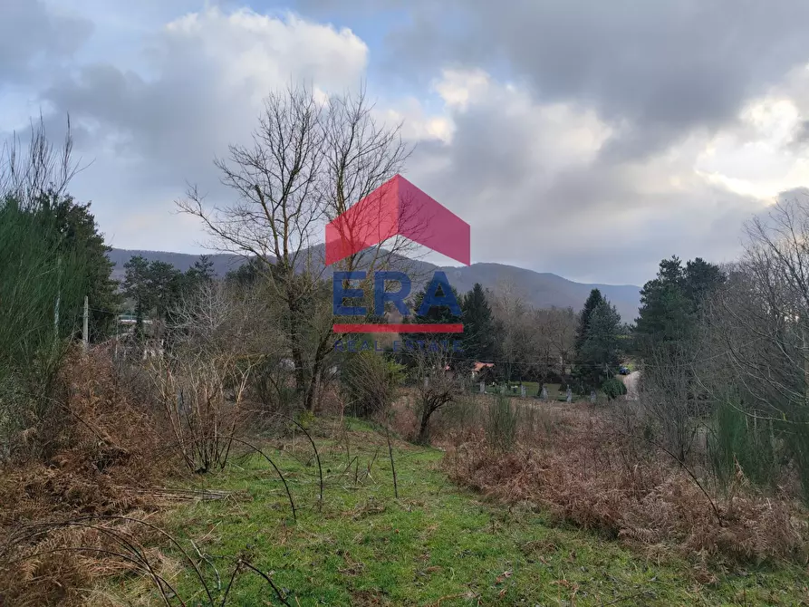 Immagine 6 di Terreno agricolo in vendita  a Rocca Di Papa