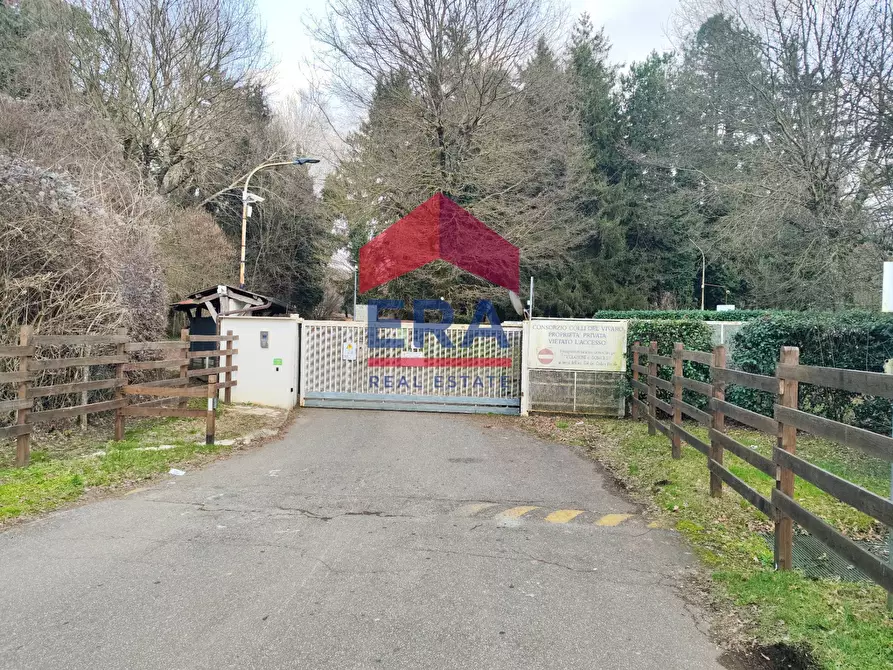 Immagine 2 di Terreno agricolo in vendita  a Rocca Di Papa