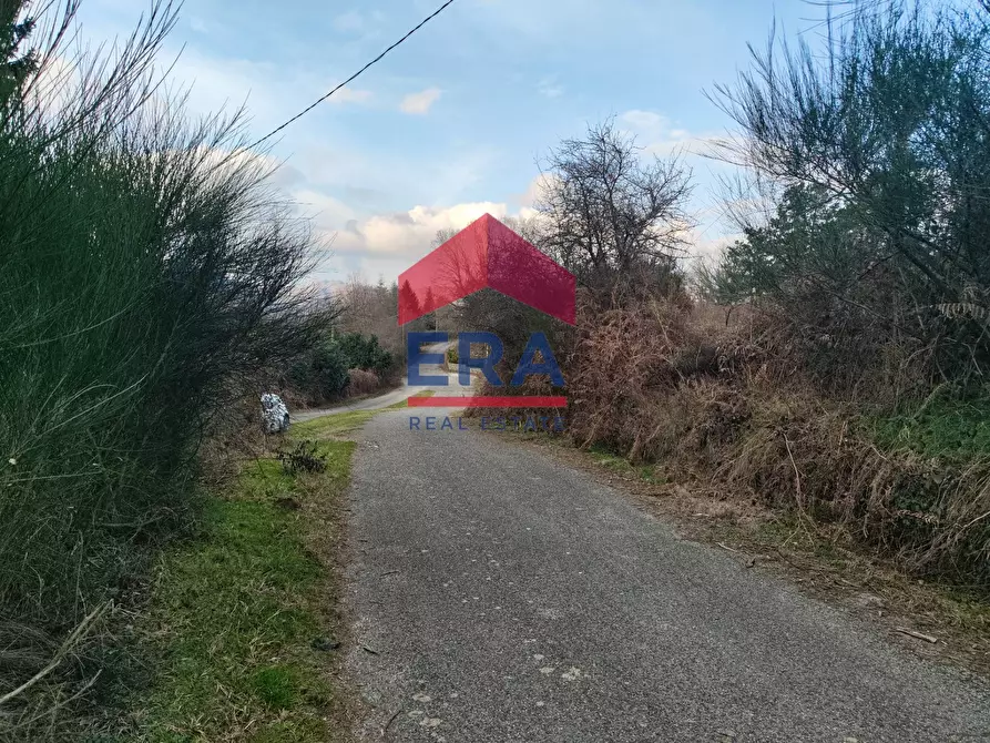 Immagine 7 di Terreno agricolo in vendita  a Rocca Di Papa