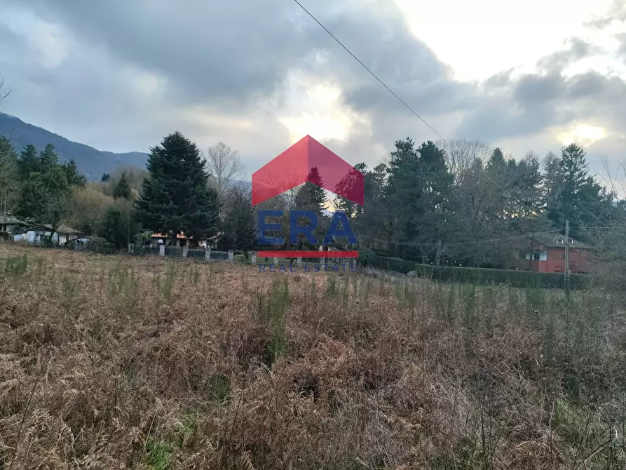 Immagine 8 di Terreno agricolo in vendita  a Rocca Di Papa