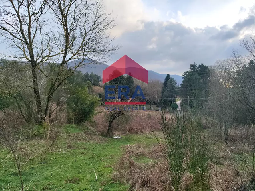 Immagine 9 di Terreno agricolo in vendita  a Rocca Di Papa