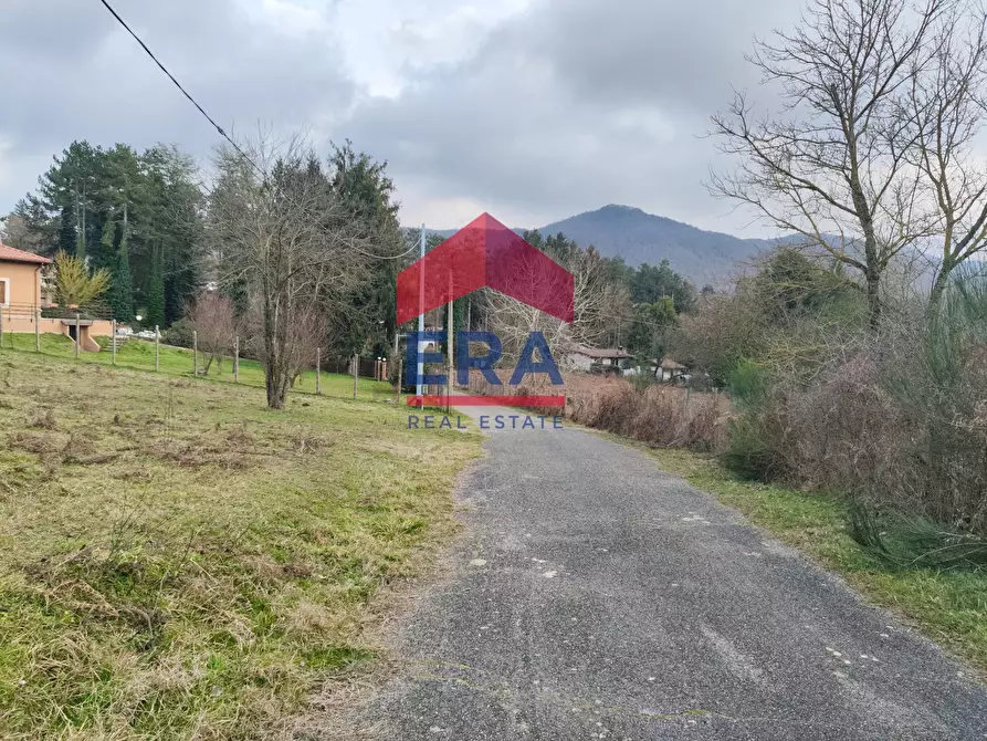 Immagine 11 di Terreno agricolo in vendita  a Rocca Di Papa