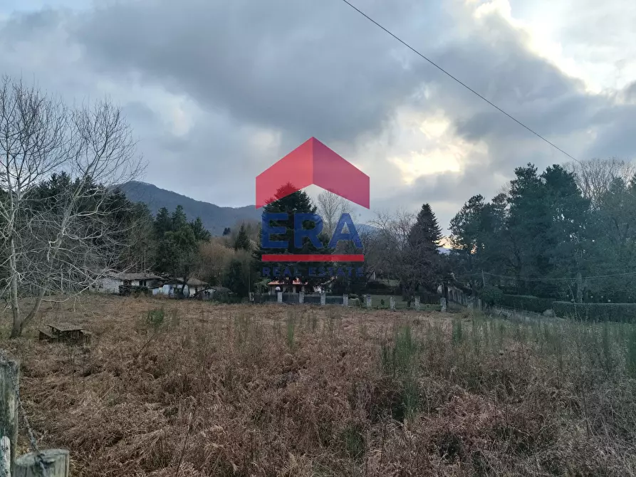 Immagine 10 di Terreno agricolo in vendita  a Rocca Di Papa