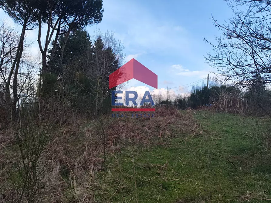 Immagine 12 di Terreno agricolo in vendita  a Rocca Di Papa