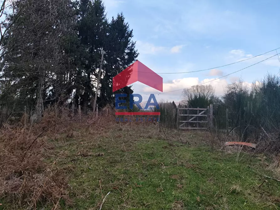 Immagine 13 di Terreno agricolo in vendita  a Rocca Di Papa