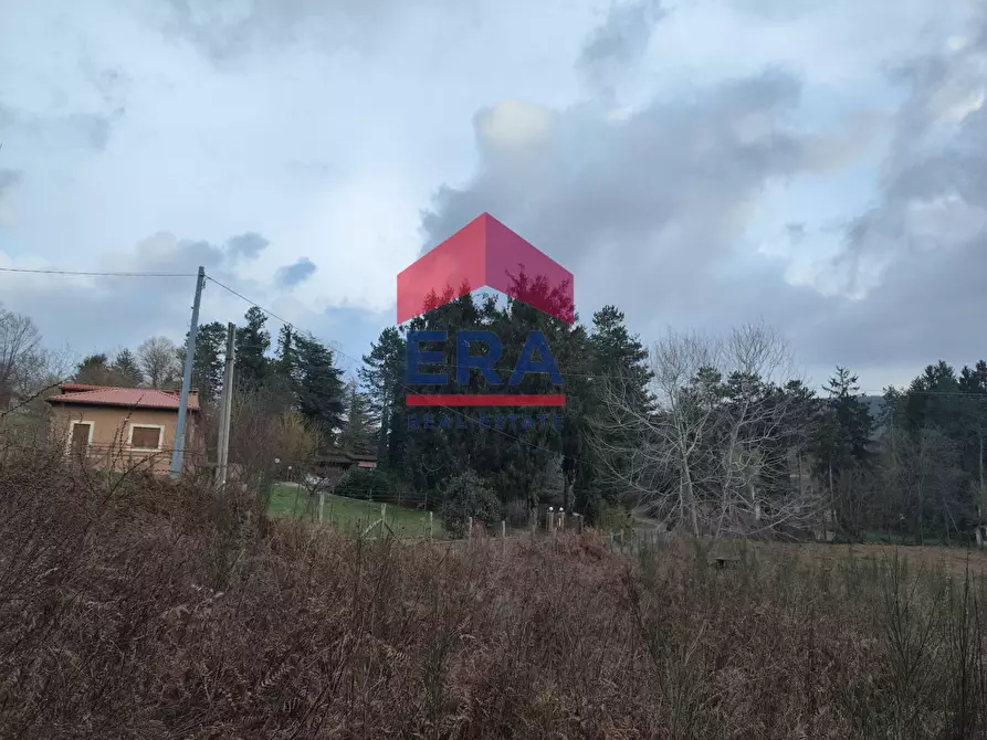 Immagine 14 di Terreno agricolo in vendita  a Rocca Di Papa