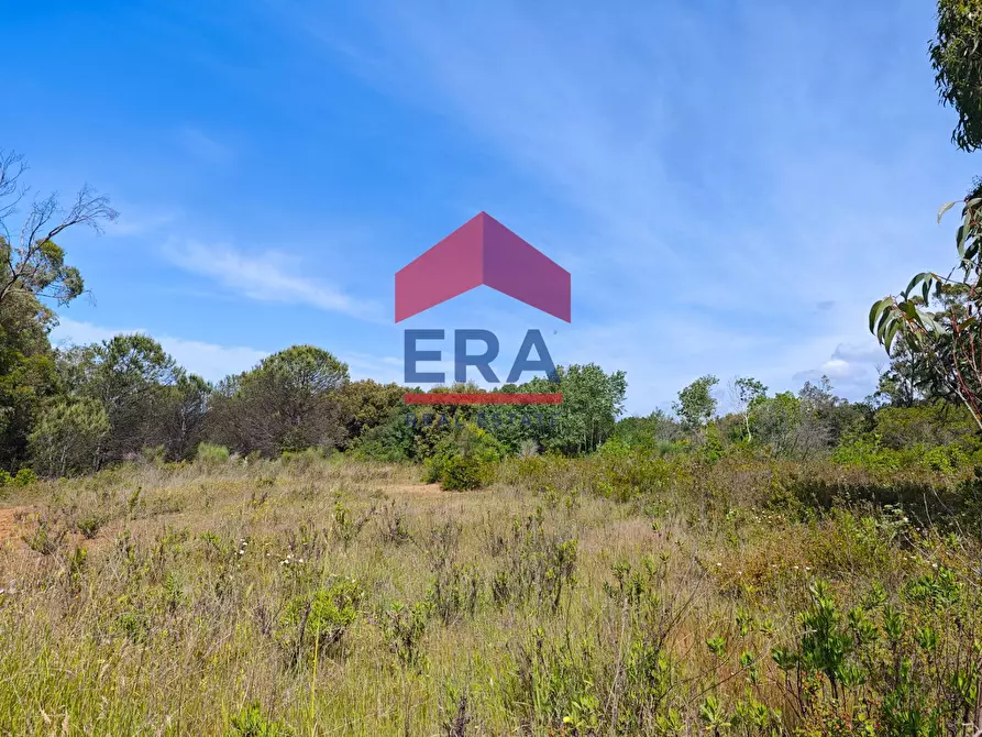 Immagine 20 di Terreno agricolo in vendita  in Via della vite a Aprilia