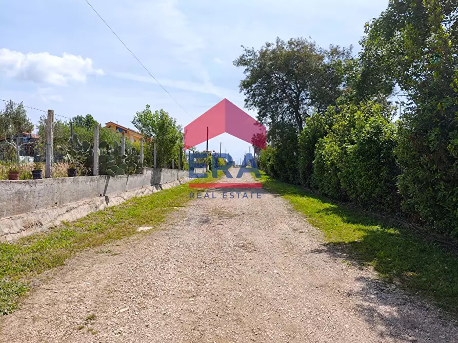 Immagine 21 di Terreno agricolo in vendita  in Via della vite a Aprilia