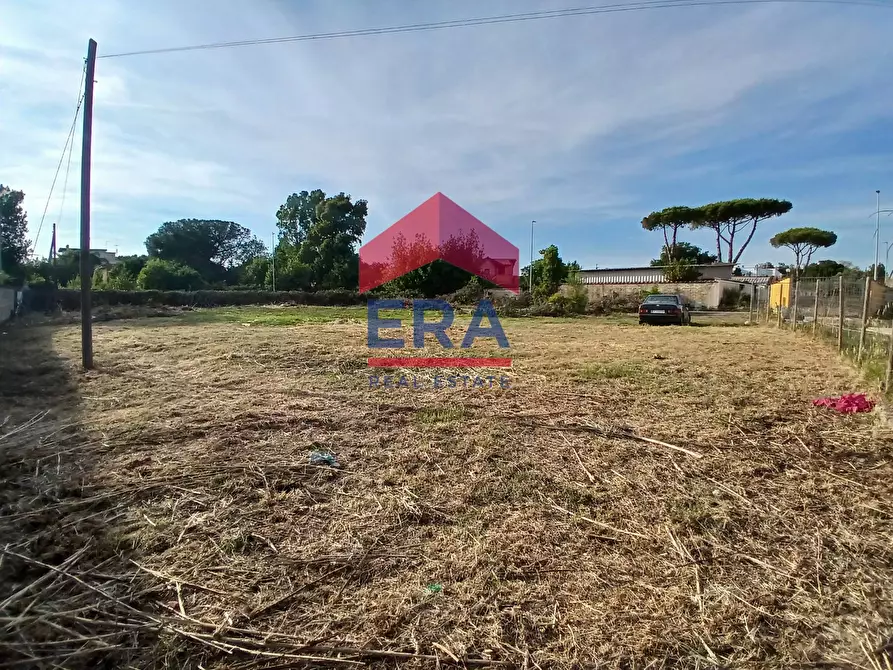 Immagine 1 di Terreno residenziale in vendita  in Via dei Tulipani a Pomezia