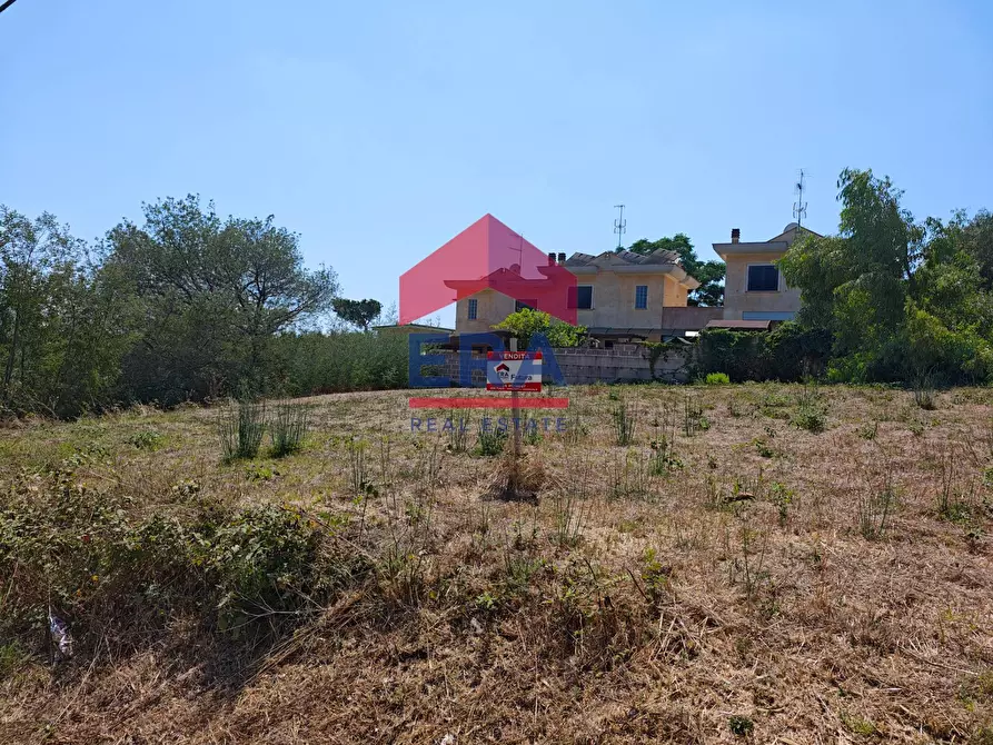 Immagine 3 di Terreno residenziale in vendita  in Via delle campanule a Pomezia