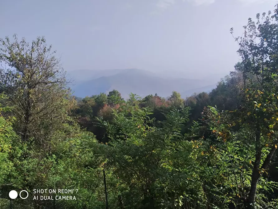 Immagine 6 di Casa indipendente in vendita  in Località Sardi a Pareto