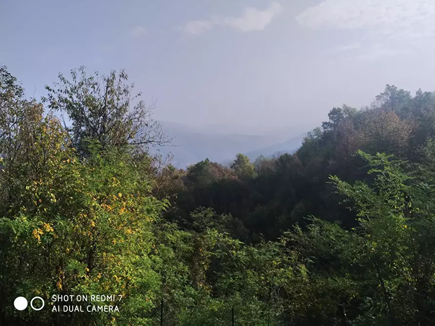 Immagine 7 di Casa indipendente in vendita  in Località Sardi a Pareto