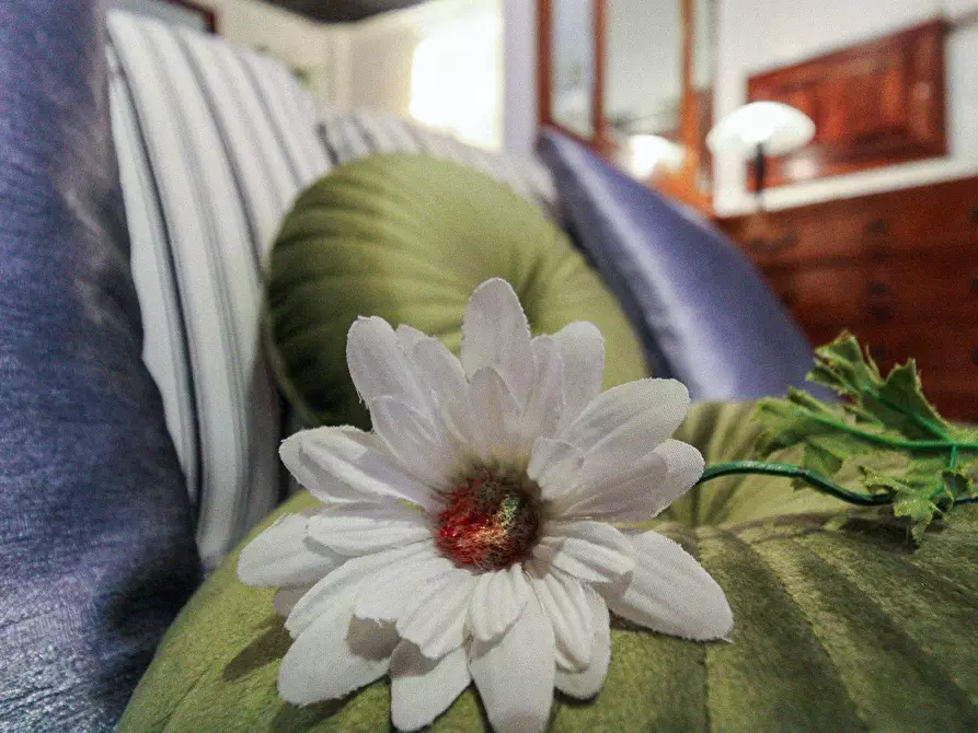 Immagine 9 di Appartamento in affitto  in Via Piccinini a Stella