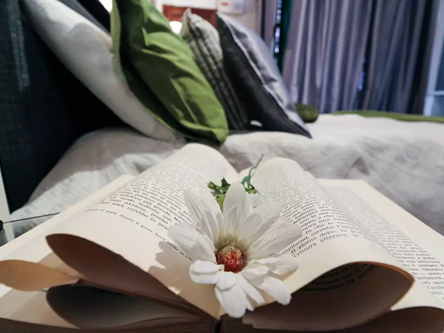 Immagine 12 di Appartamento in affitto  in Via Piccinini a Stella