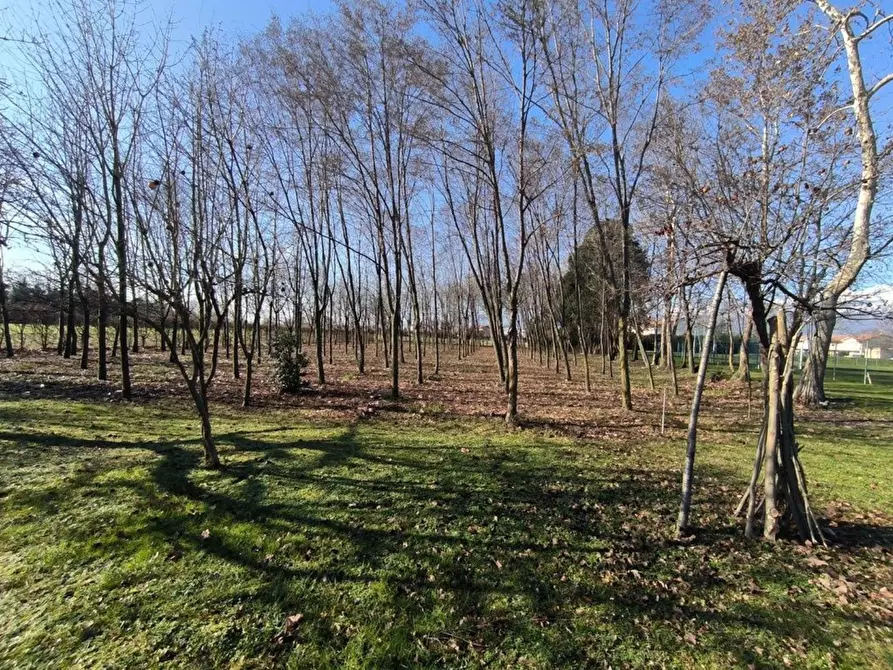 Immagine 3 di Terreno residenziale in vendita  a San Quirino