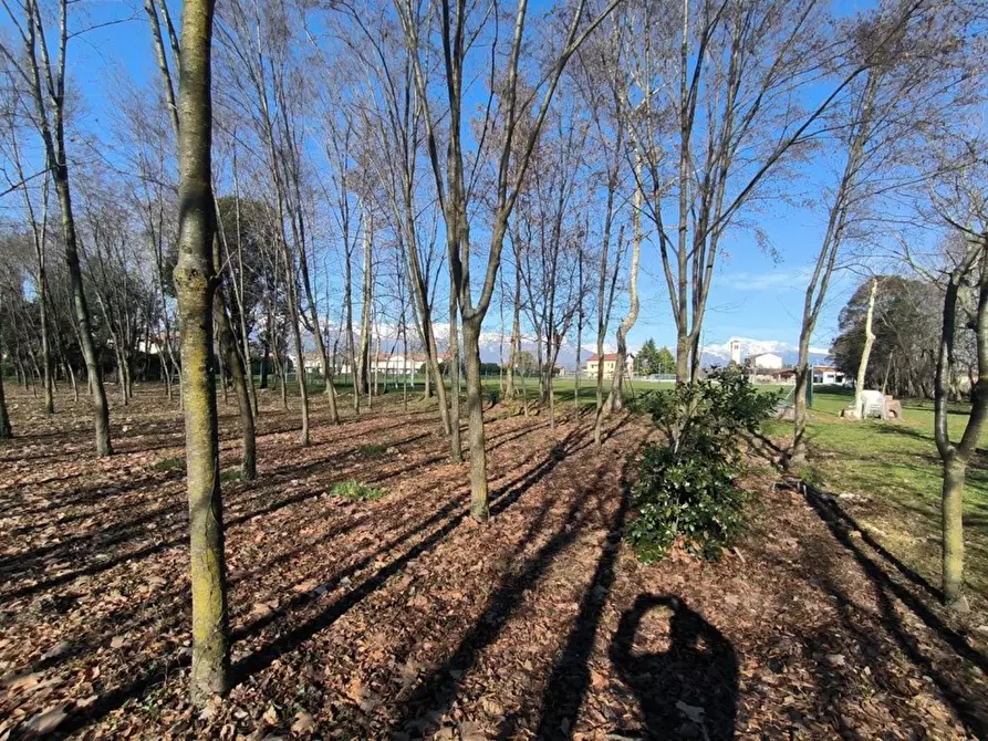 Immagine 4 di Terreno residenziale in vendita  a San Quirino