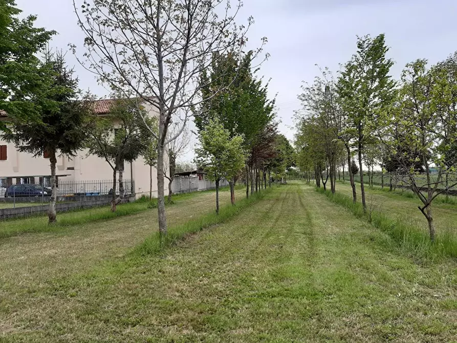 Immagine 12 di Casa indipendente in vendita  a Aviano