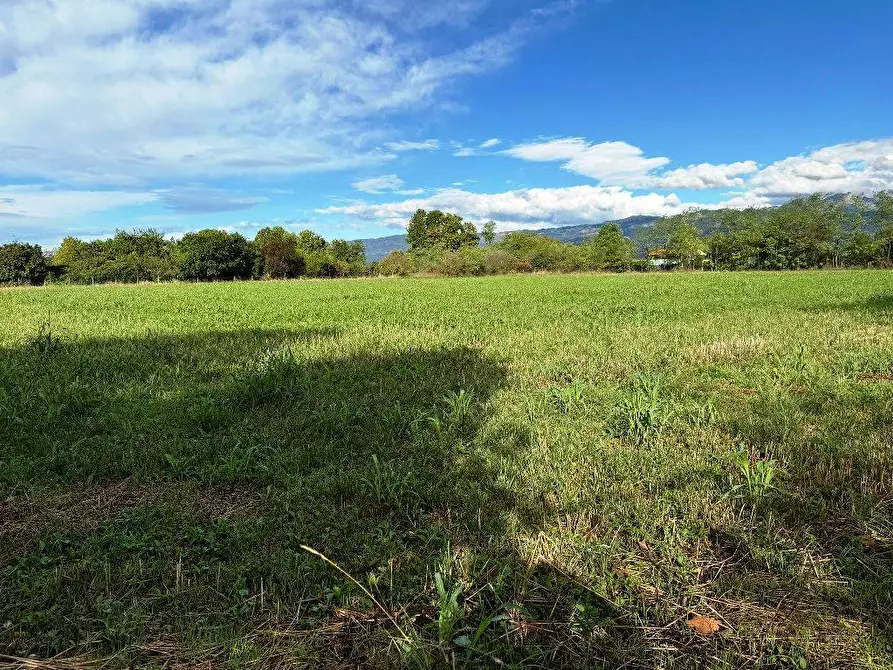 Immagine 3 di Terreno agricolo in vendita  a Pordenone